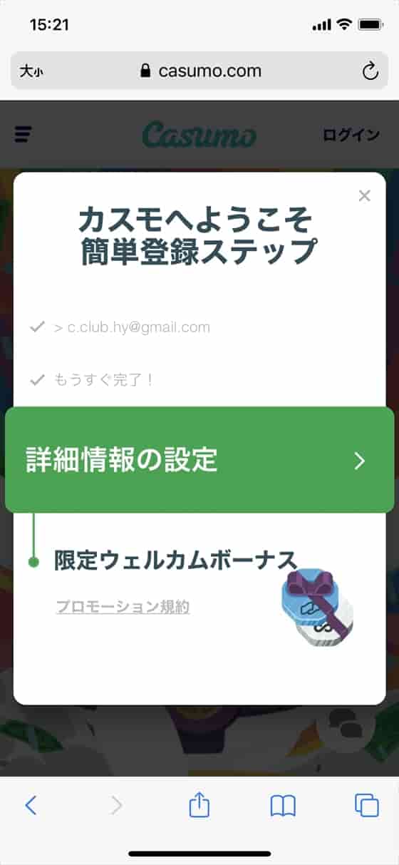 詳細情報の設定 詳細情報の設定