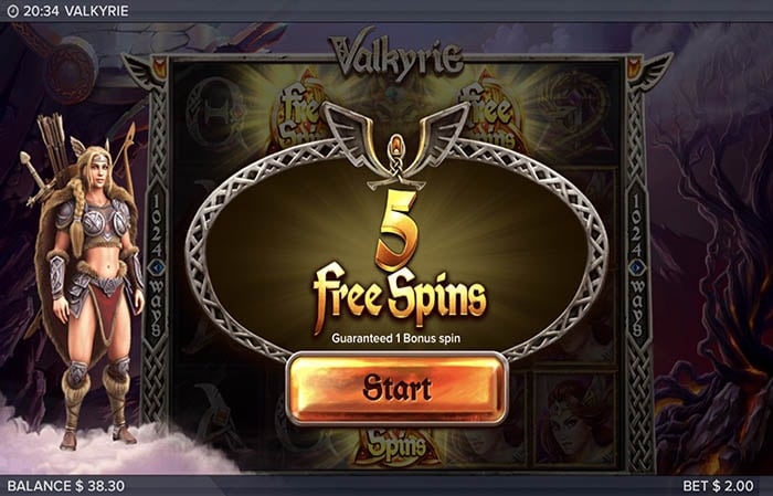 フリースピン5回 フリースピン5回