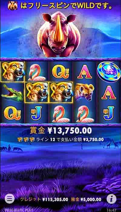 サイが出ない サイが出ない