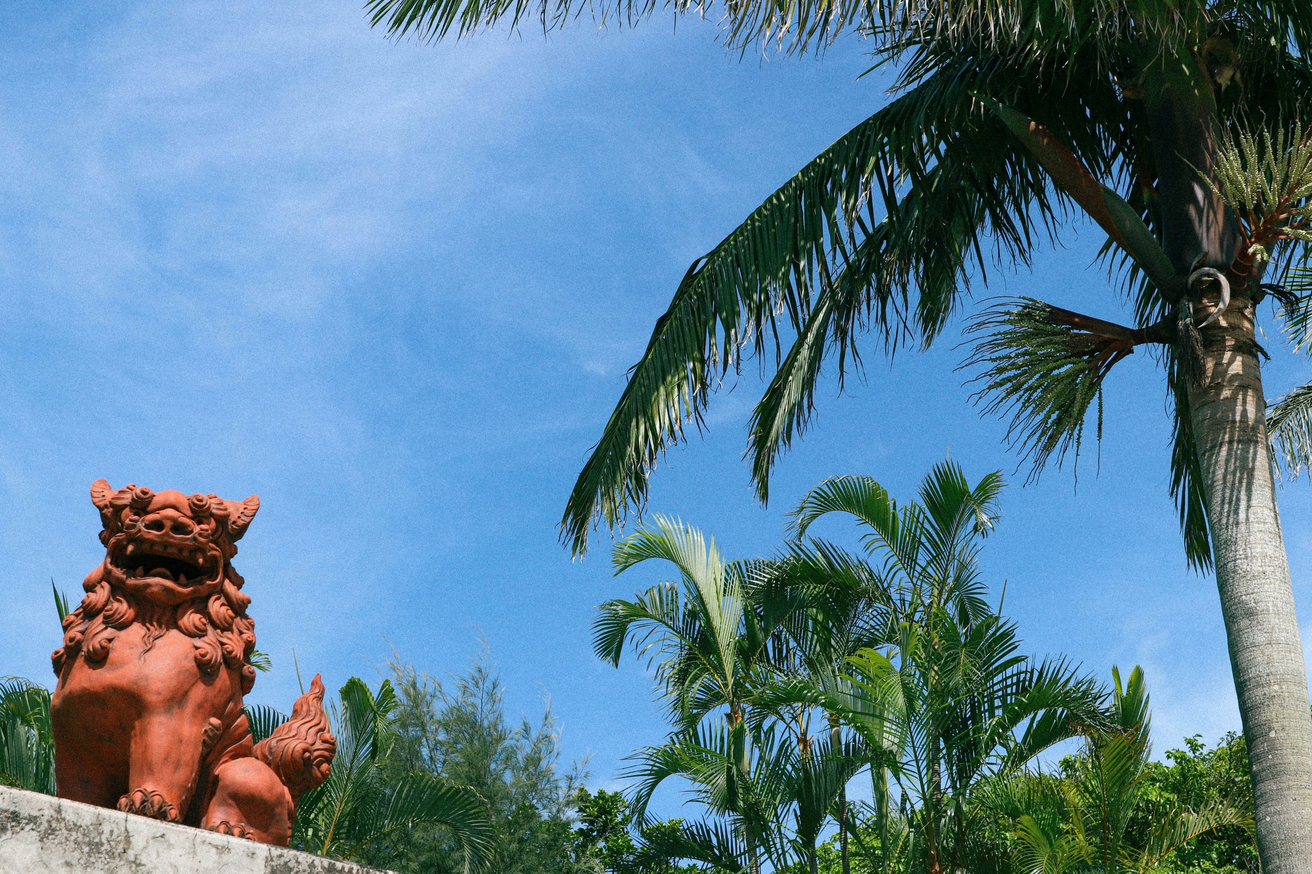 沖ドキシリーズはどうして人気?安定して稼働しているホールが多い理由